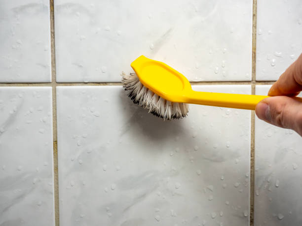 Professional Mold Remediation in Oquawka, IL